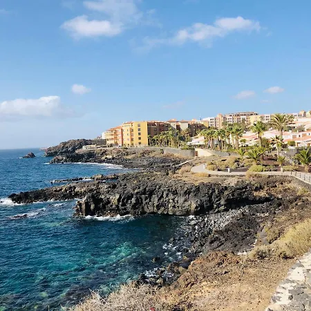 Cactus * San Miguel de Abona