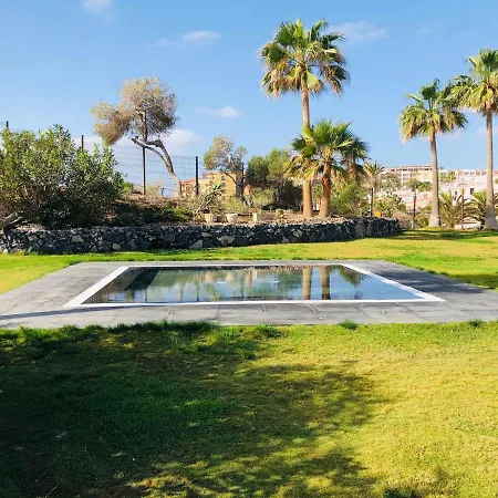 Cactus * San Miguel de Abona