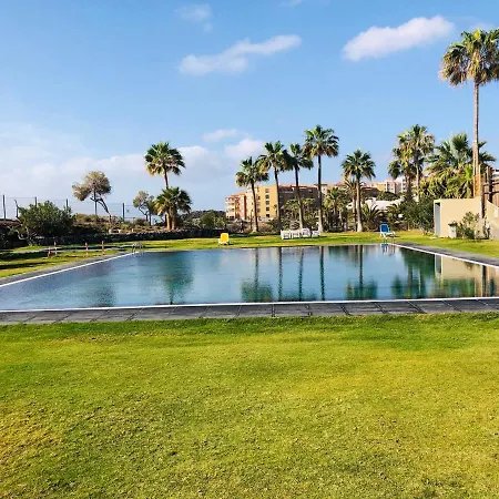 Cactus * 圣米格尔德阿沃纳