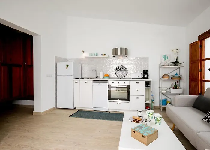 Cactus 圣米格尔德阿沃纳