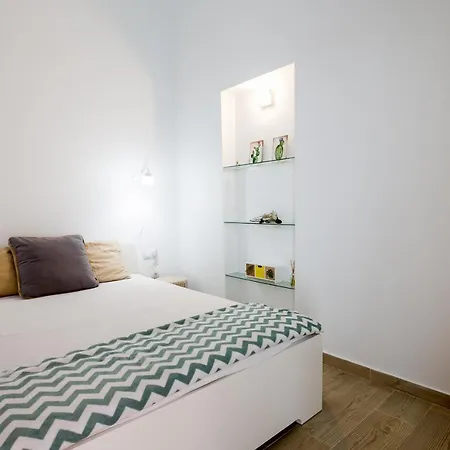 Cactus 산미겔데아보나