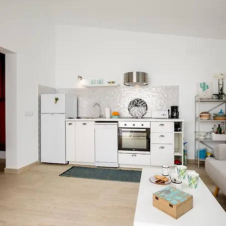 Cactus San Miguel de Abona