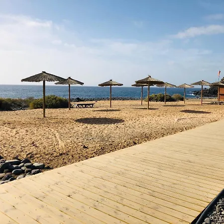 Cactus 산미겔데아보나