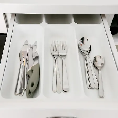 Cactus 산미겔데아보나