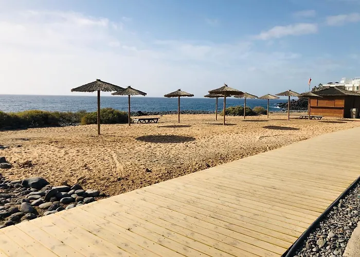 Cactus San Miguel de Abona