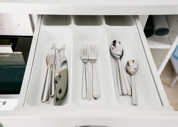 Cactus סן מיגל דה אבונה