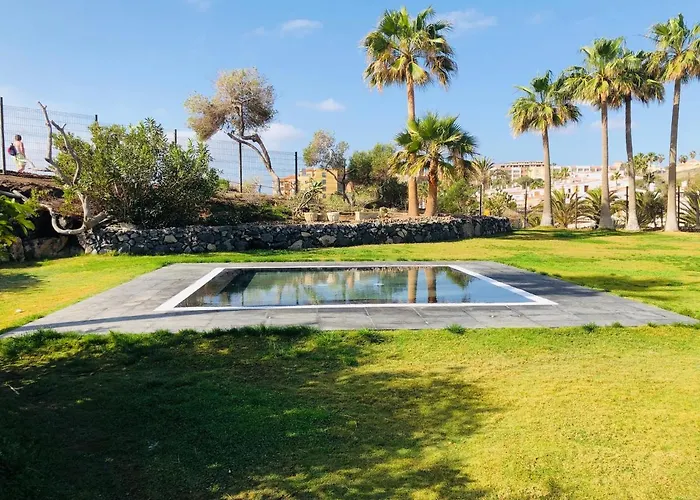 Cactus * סן מיגל דה אבונה