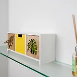 Cactus *